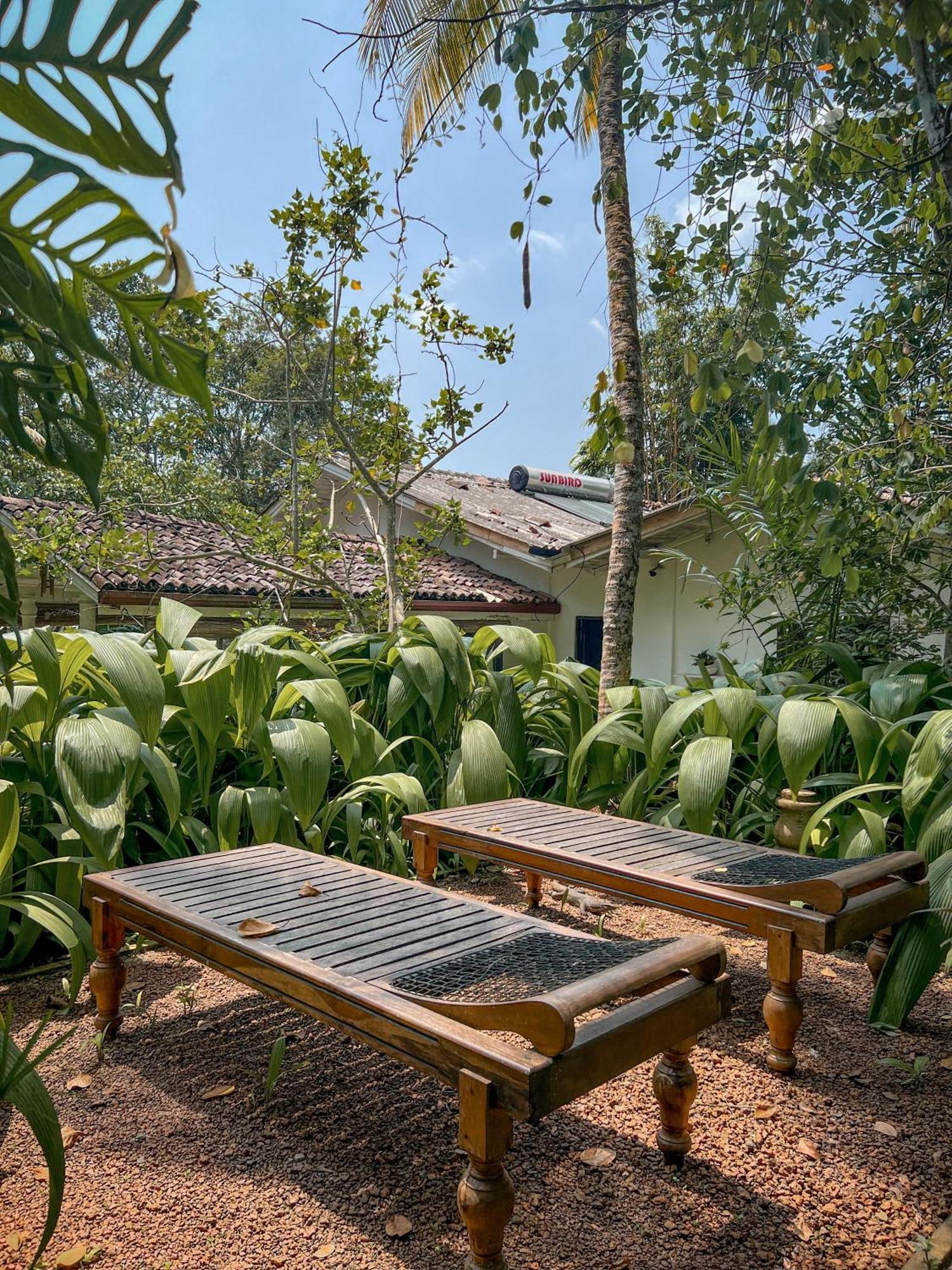 Medusa Bungalow - Galle Eksteriør bilde
